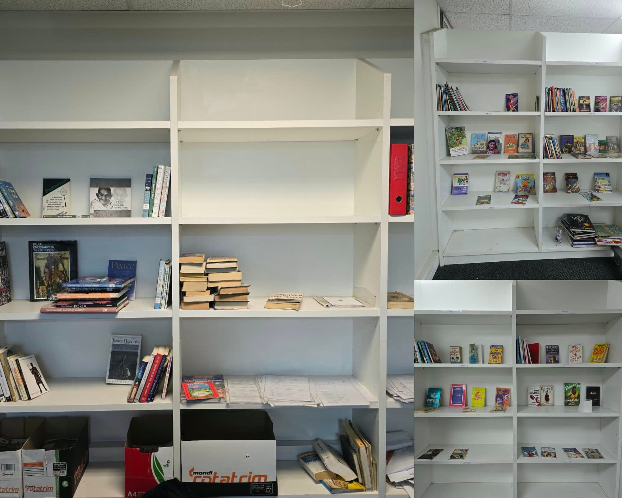 Help Us Fill the Shelves: Build the Maharishi High School Library